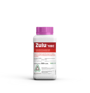 zulu