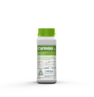 carimbo