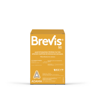 brevis