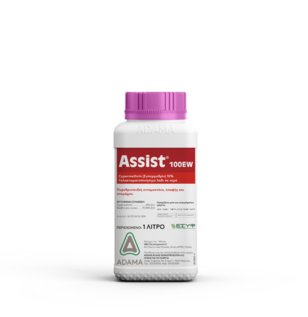 assist