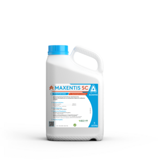 MAXENTIS