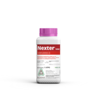 nexter
