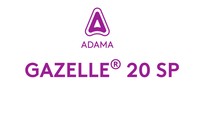 gazelle_sp