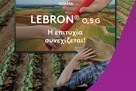 lebron