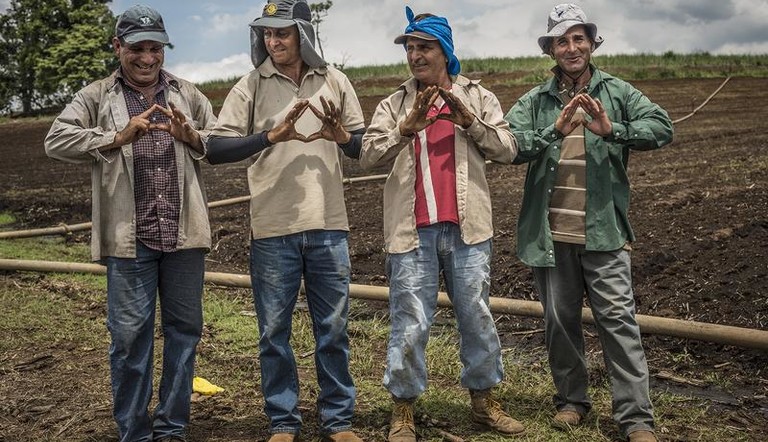 Four farmers in field