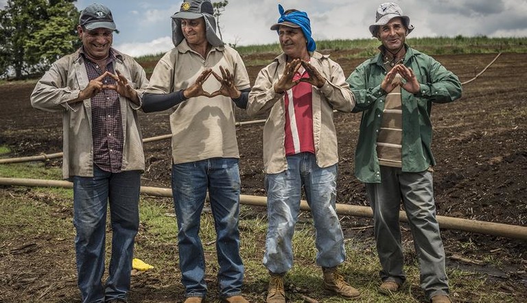 Four farmers in field 