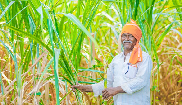 Farmer with Sugar Cane