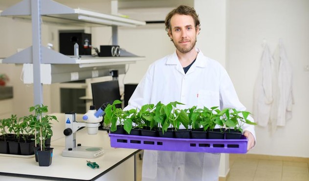 Scientist holding plants Scientist holding plants