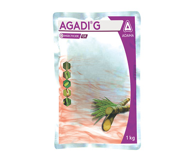 Agadi G