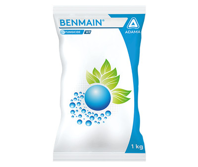 Benmain
