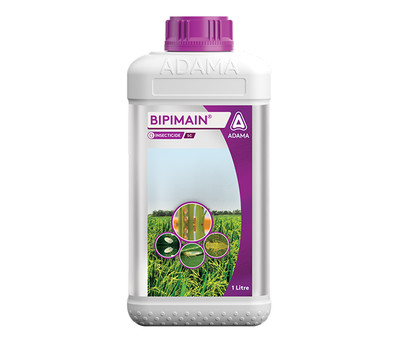 Bipimain