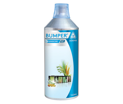 Bumper