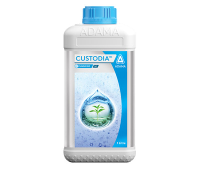 Custodia Packshot