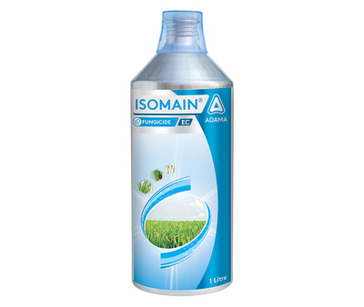 Isomain