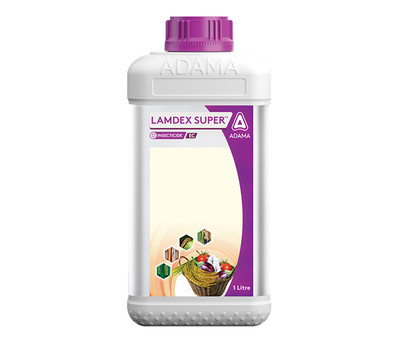 Lamdex Super