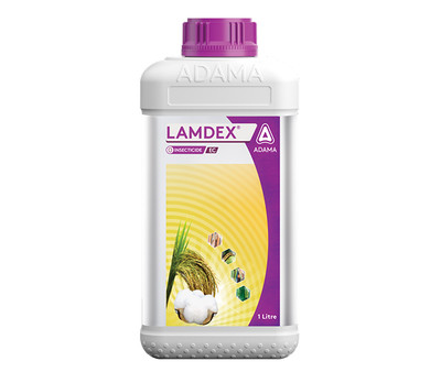 Lamdex
