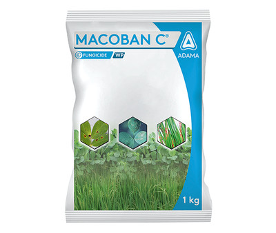 Macoban C