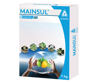 Mainsul