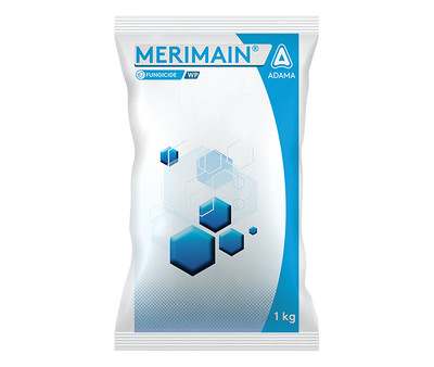 Merimain