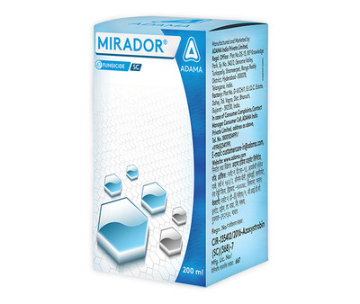 Mirador