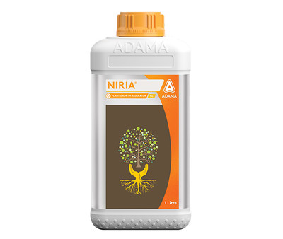Niria Packshot