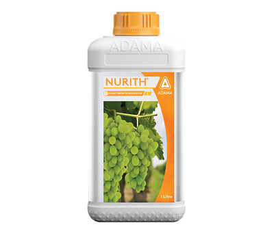 Nurith Packshot