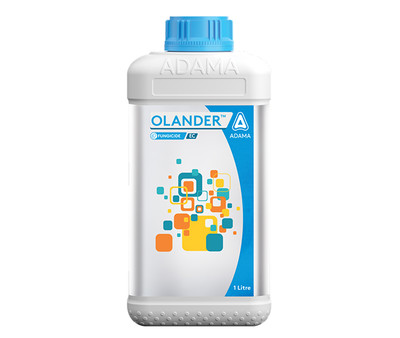 Olander