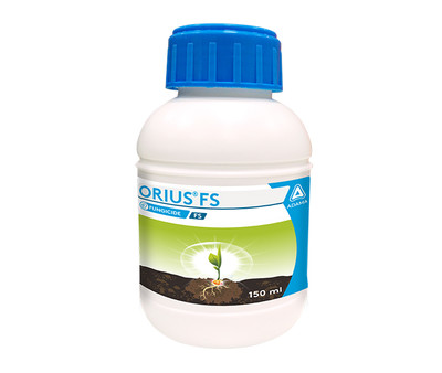 Orius FS