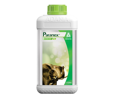 Paranex