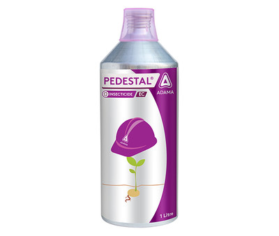 Pedestal