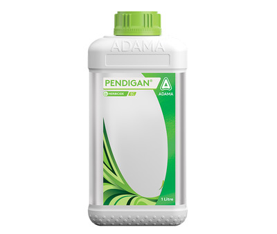 Pendigan