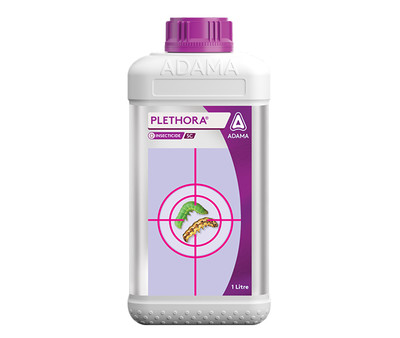 Plethora Packshot