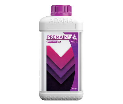 Premain