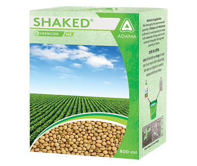 Shaked Packshot