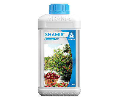Shamir Packshot