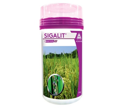Sigalit Product Pack
