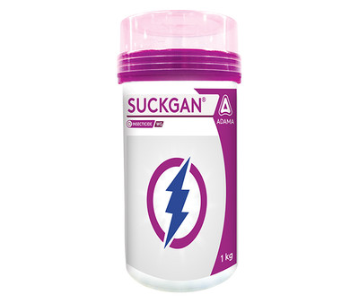 Suckgan