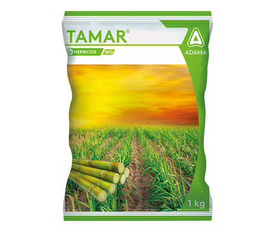 Tamar Packshot