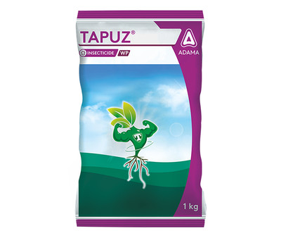 Tapuz