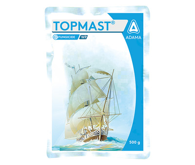 Topmast