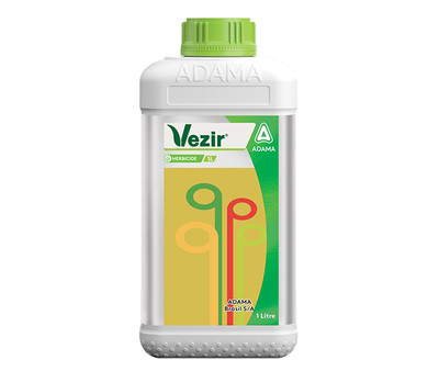 Vezir