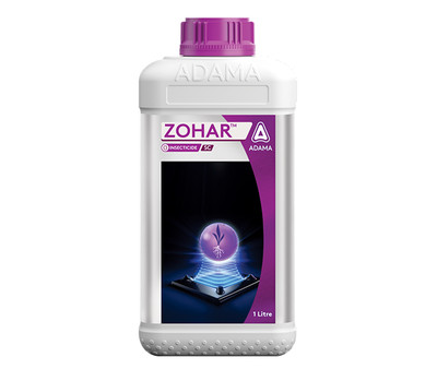 Zohar