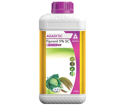 Agadi SC Package