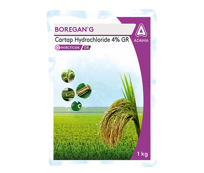 Boregan Package