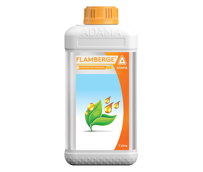 Flamberge Package