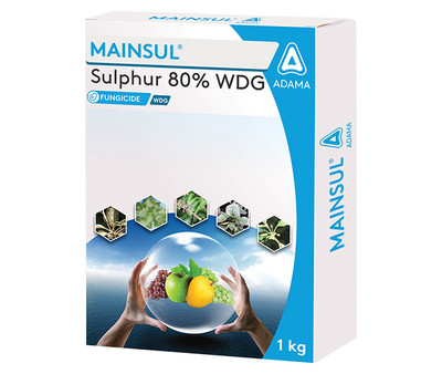 Mainsul Package