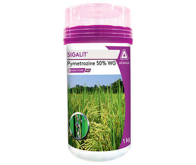 Sigalit Package