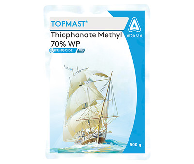 Topmast Package