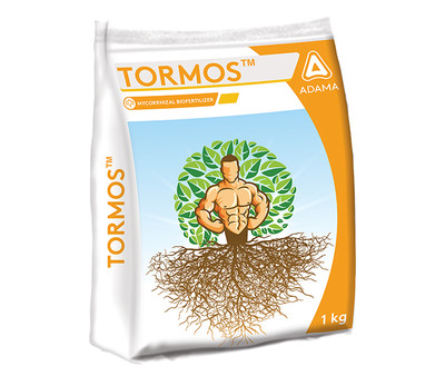 tormos package