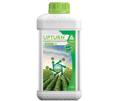 Upturn Packshot